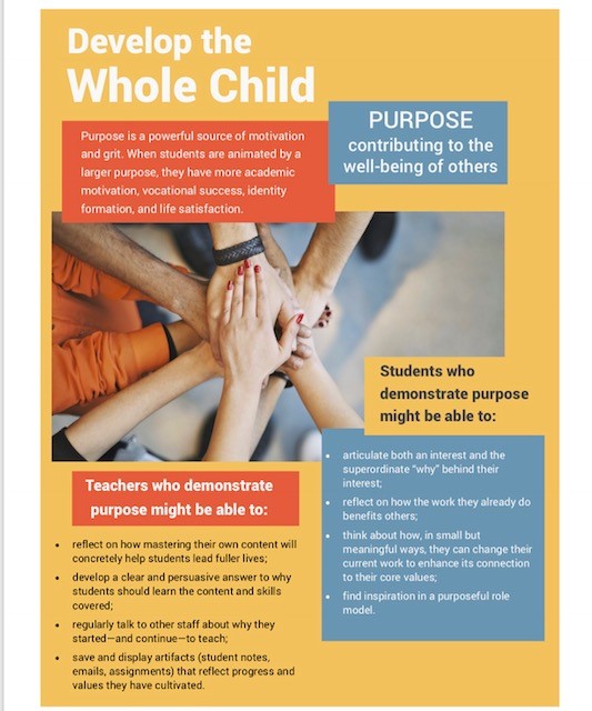 wholechild1 wholechild1