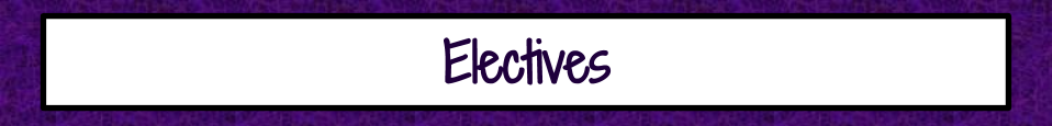 VMS Team Banners Electives VMS Team Banners Electives