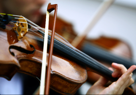violin